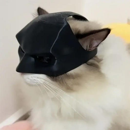 Gift Black Bat Cat Avenger Mask